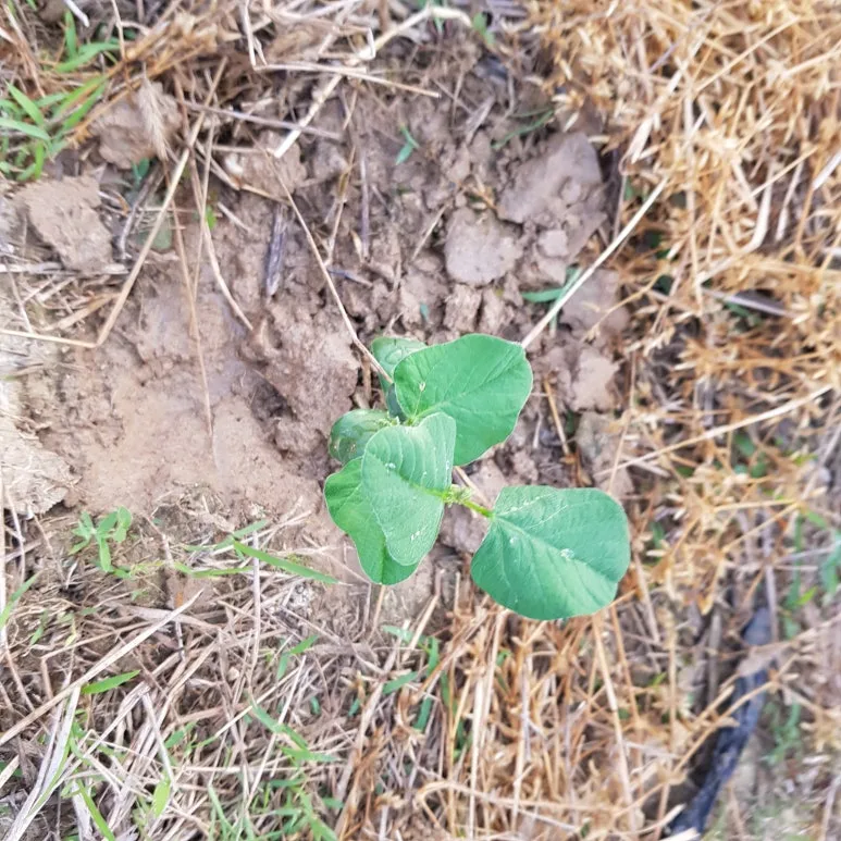 KakaoTalk_20250612_063211150.jpg?type=w773