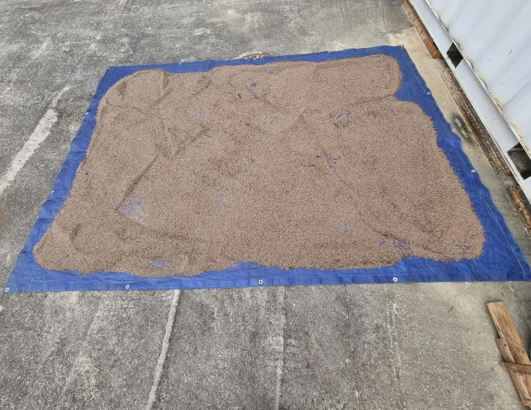 SE-ab8053f0-e055-48e5-9090-a6f514f4dc74.jpg?type=w773