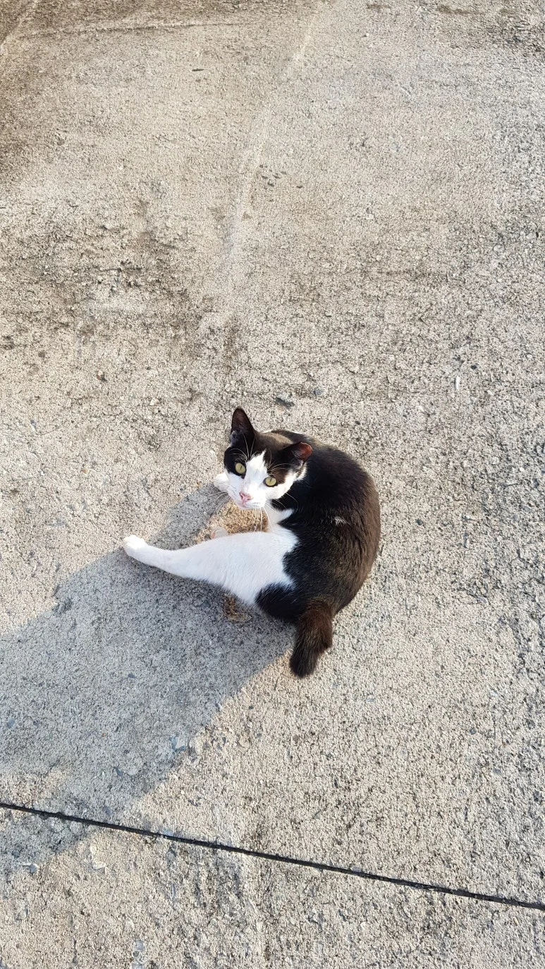 KakaoTalk_20250730_065643019.jpg?type=w773