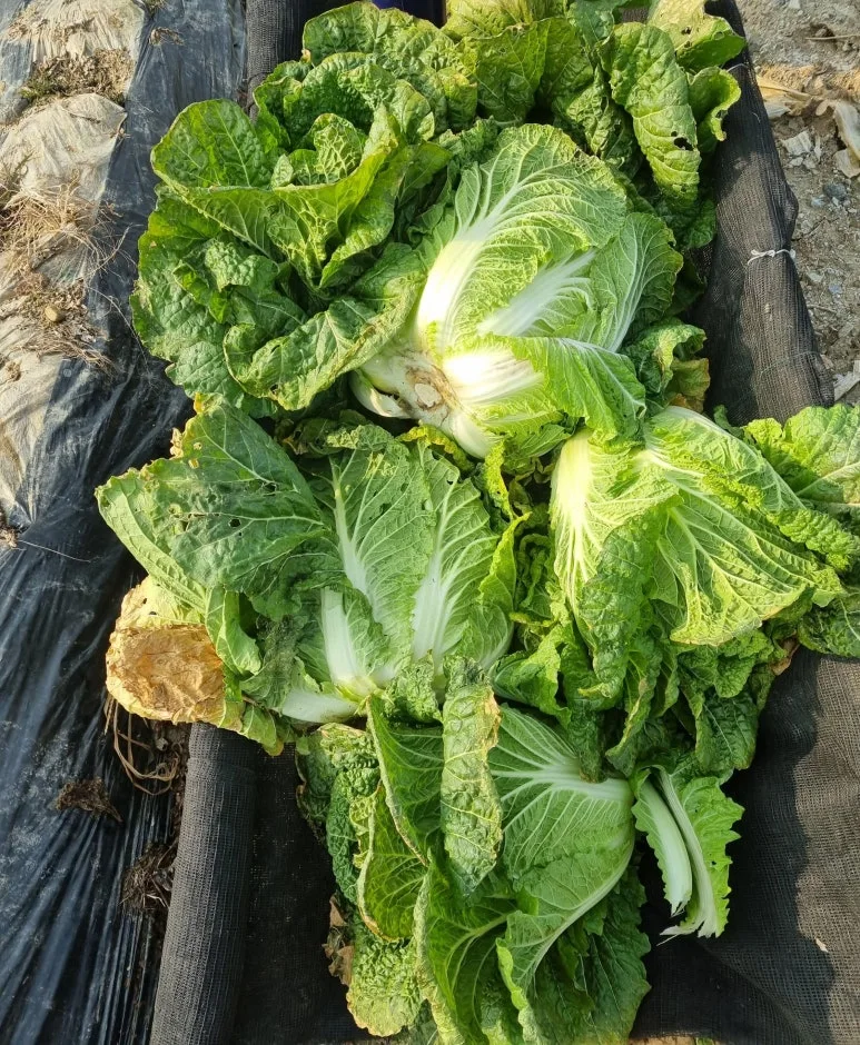 SE-f3ce186f-67cd-457b-88fd-504a7b7ec5e5.jpg?type=w773