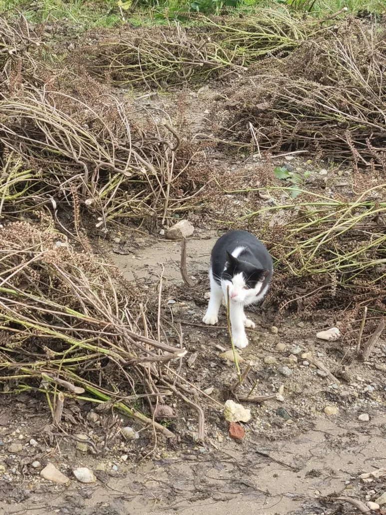 KakaoTalk_20251021_135130701.jpg?type=w773