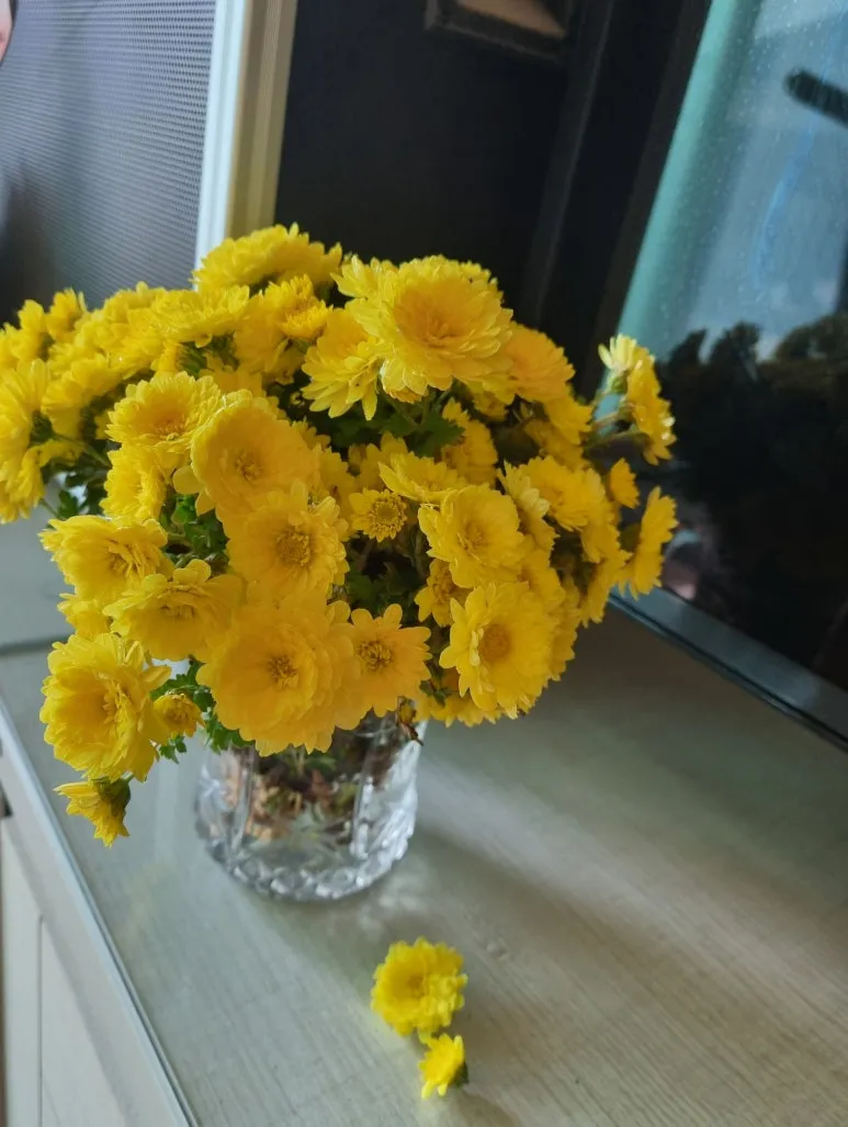 SE-9f15ad96-190f-4a89-9b81-1ff5f5d5252c.jpg?type=w773