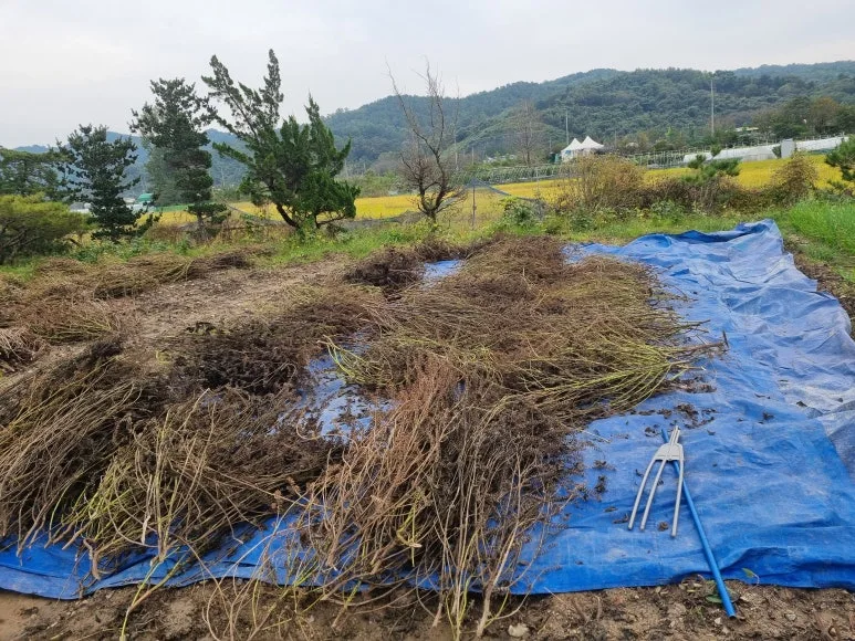 KakaoTalk_20251021_135052680.jpg?type=w773