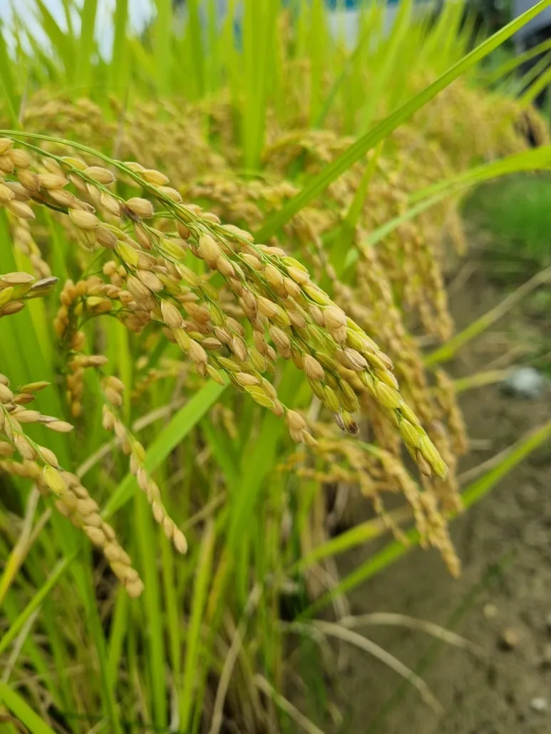 KakaoTalk_20251004_102202363.jpg?type=w773