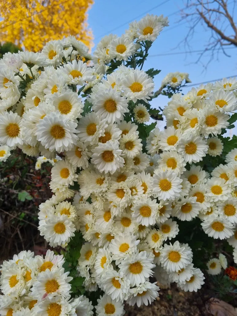 KakaoTalk_20251130_080300006.jpg?type=w773