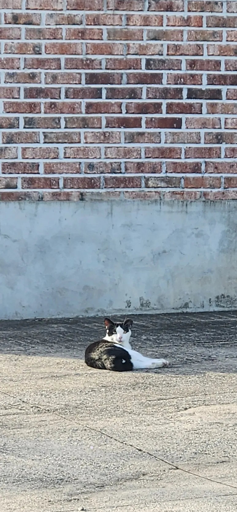 KakaoTalk_20251003_105723792.jpg?type=w773