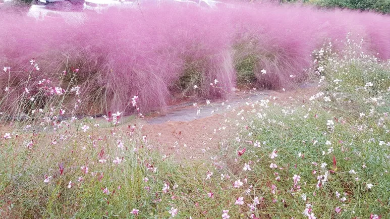 SE-bc3f2eb5-7c42-4c52-ac9e-71c4a5b4b140.jpg?type=w773