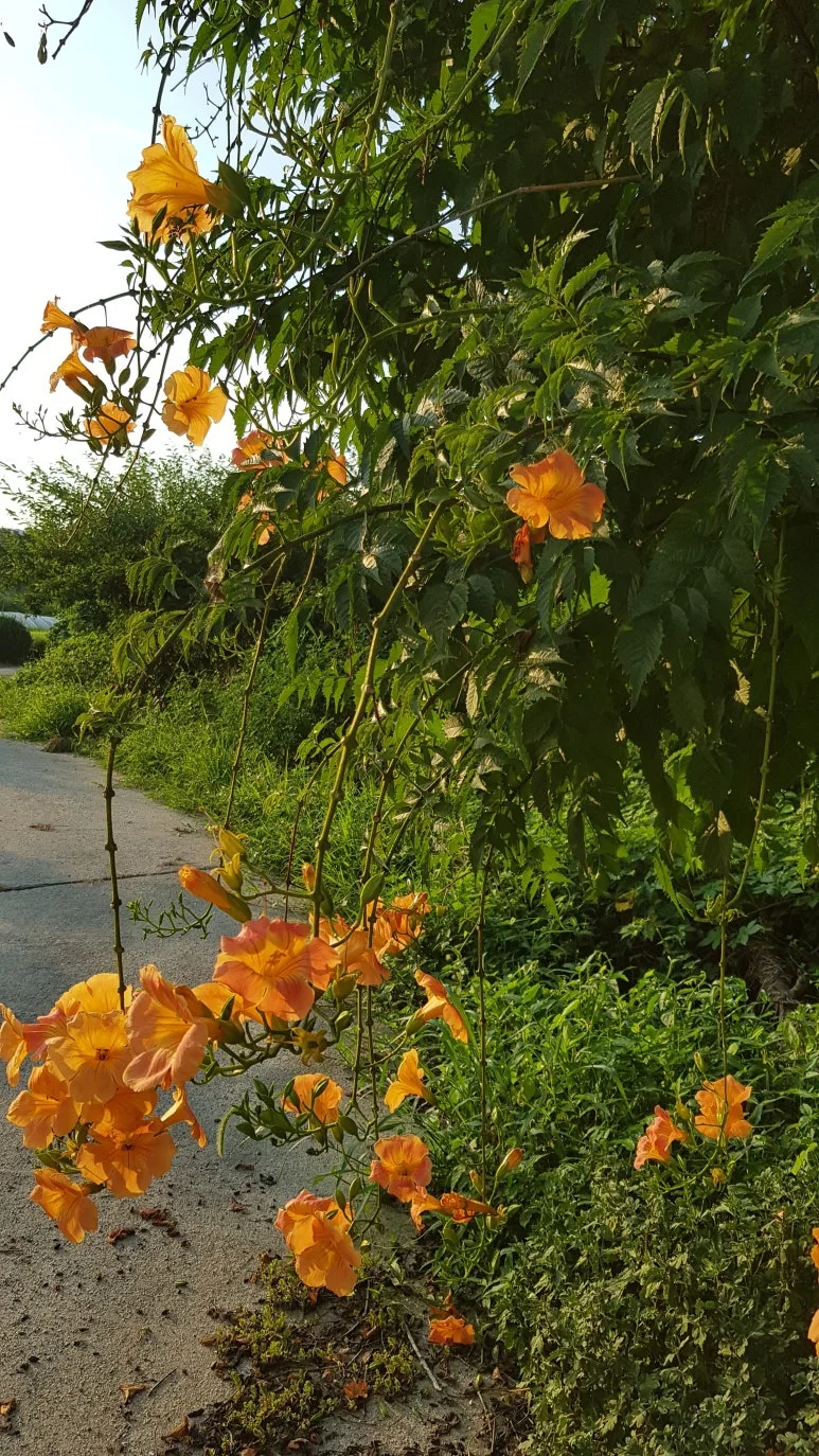 KakaoTalk_20250801_105851238.jpg?type=w773