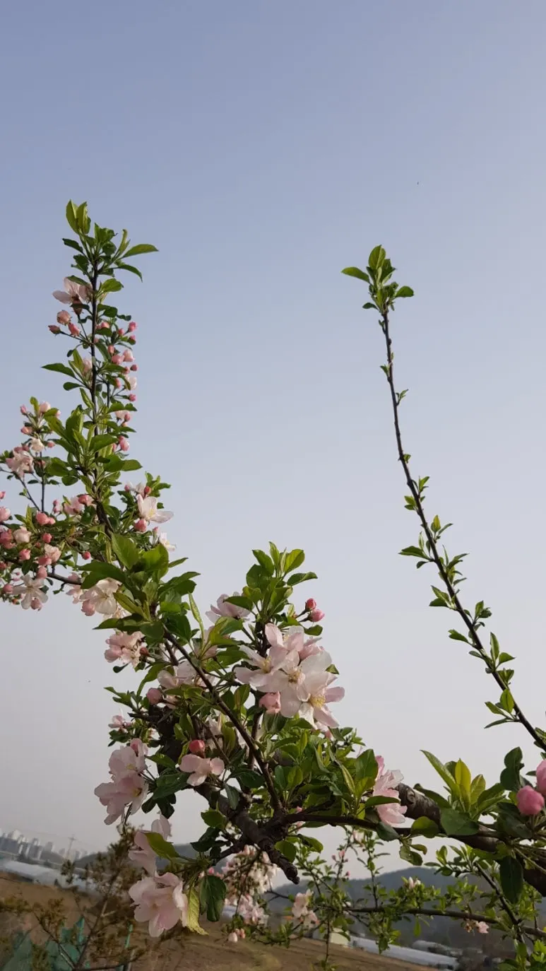 900%EF%BC%BF20250418%EF%BC%BF081204.jpg?type=w773