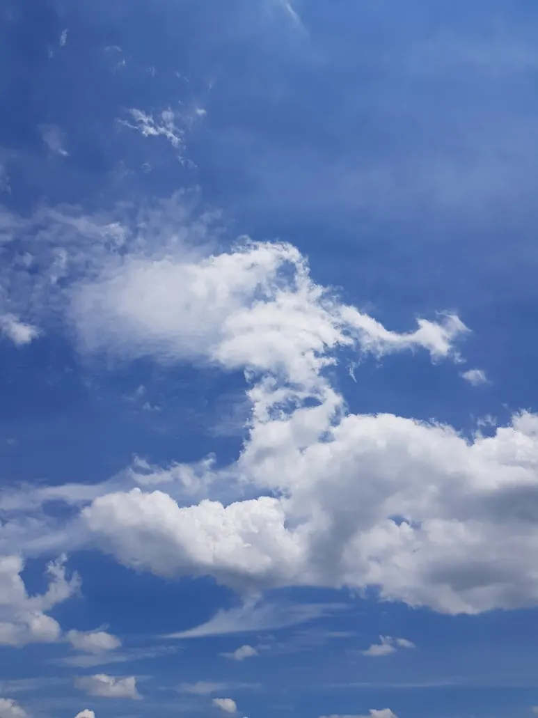 KakaoTalk_20250807_065928856.jpg?type=w773