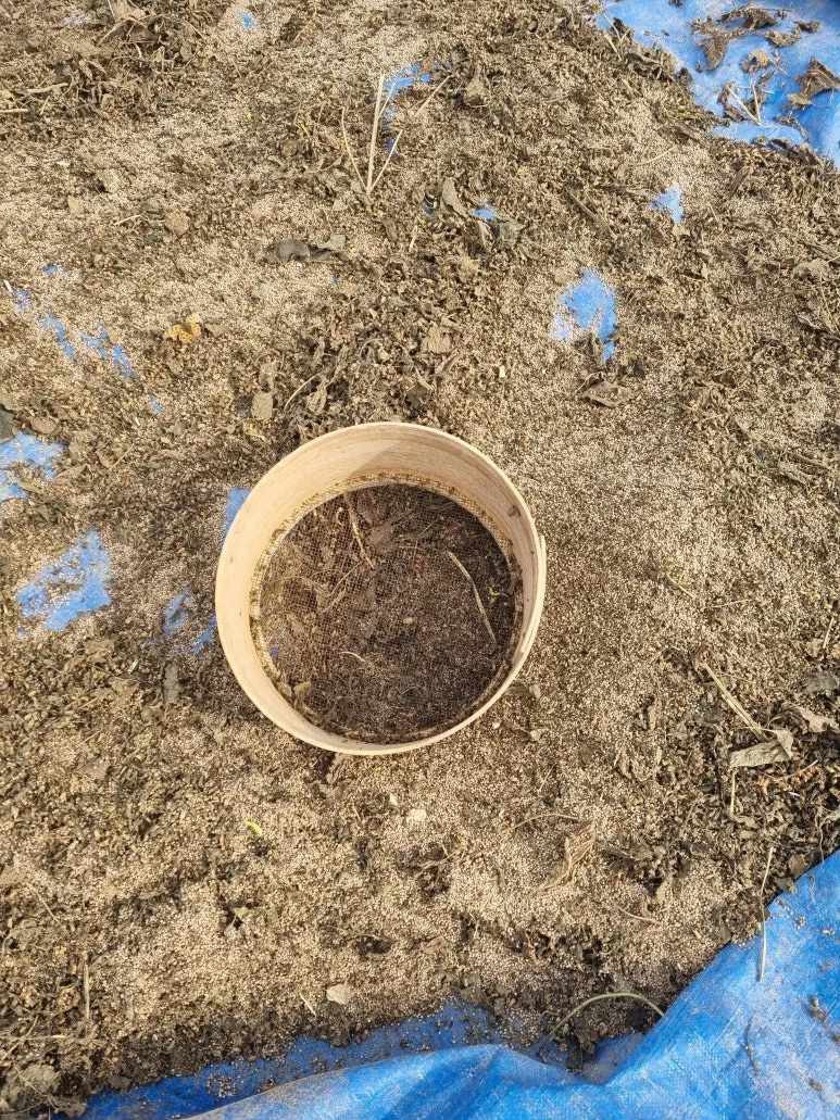 KakaoTalk_20251021_135145435.jpg?type=w773