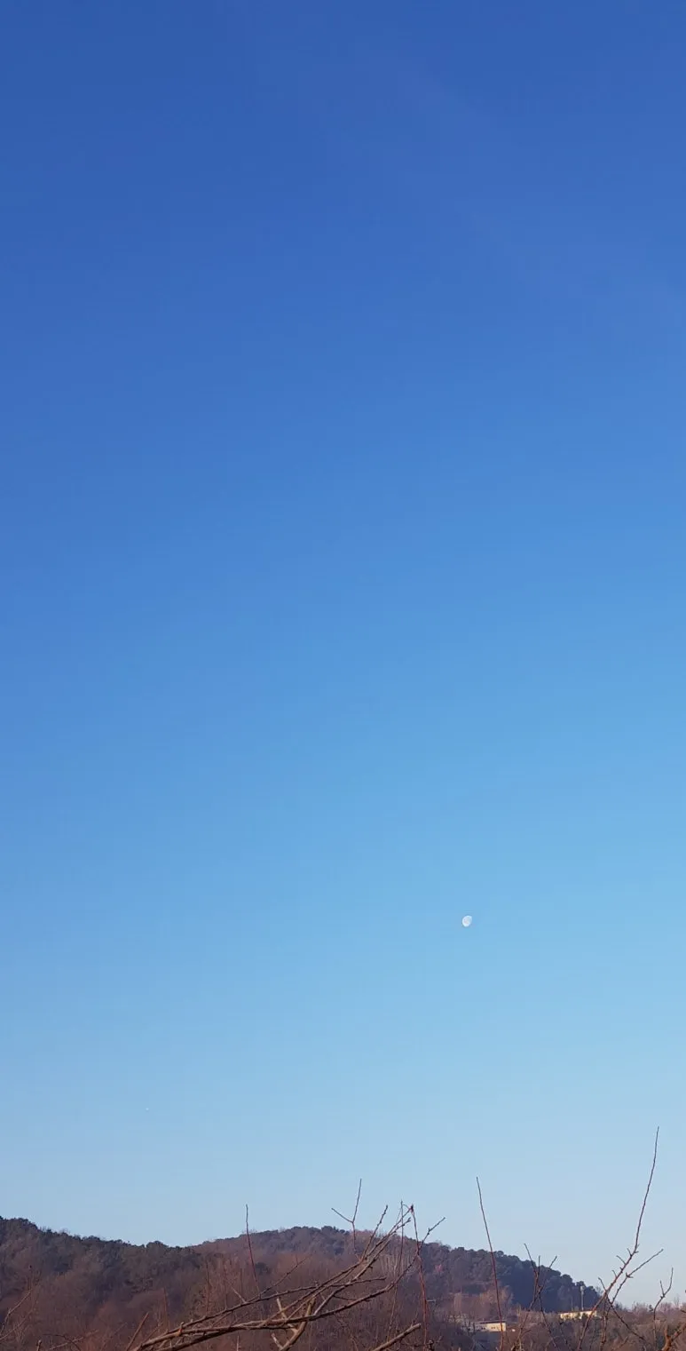 SE-c29e7046-5071-4db7-87c9-77a08e243a52.jpg?type=w773