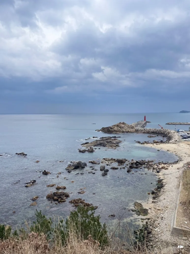 IMG%EF%BC%BF3728.jpg?type=w773