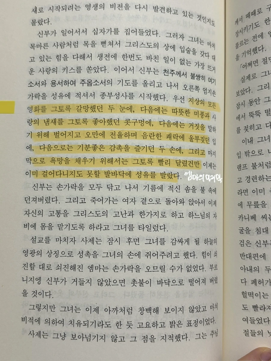 IMG%EF%BC%BF5078.jpg?type=w1