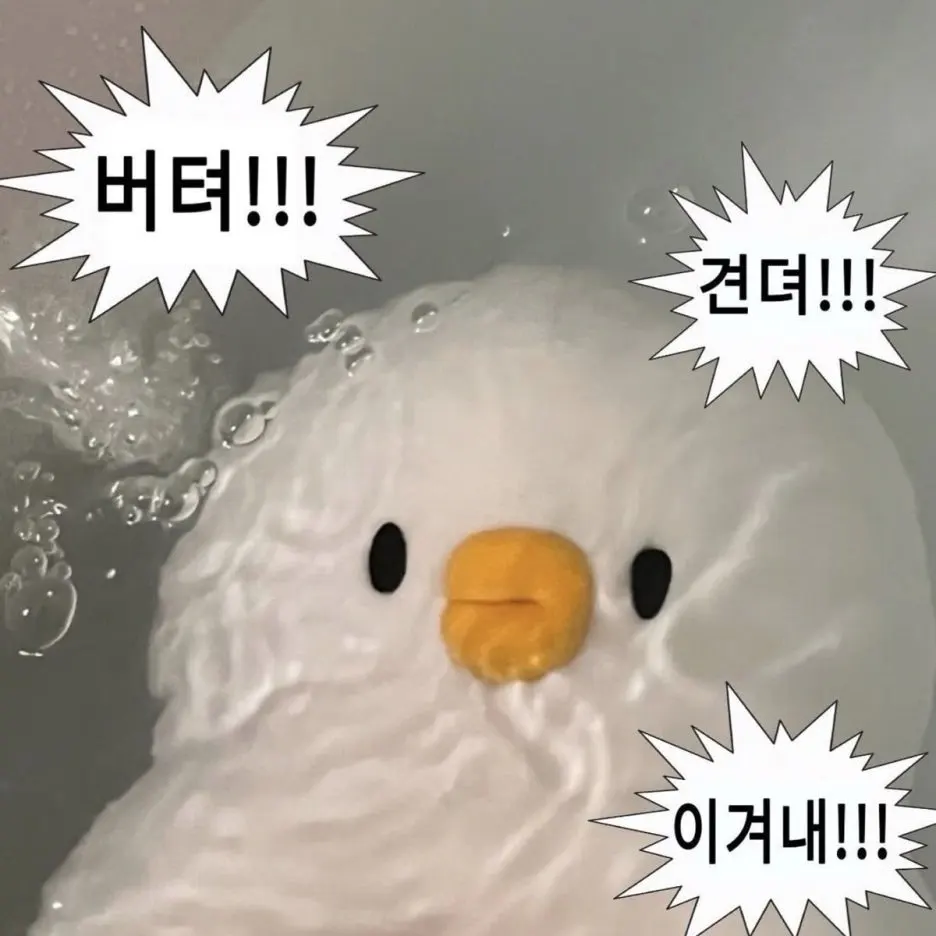 %EB%8B%A4%EC%9A%B4%EB%A1%9C%EB%93%9C.jpeg?type=w1