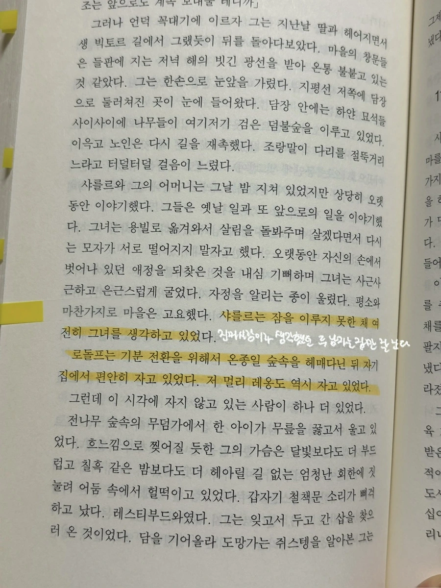 IMG%EF%BC%BF5079.jpg?type=w1