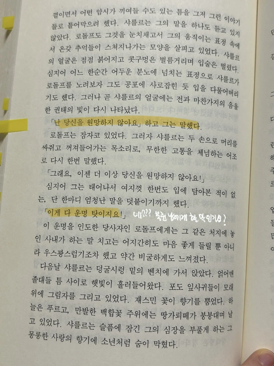 IMG%EF%BC%BF5082.jpg?type=w1