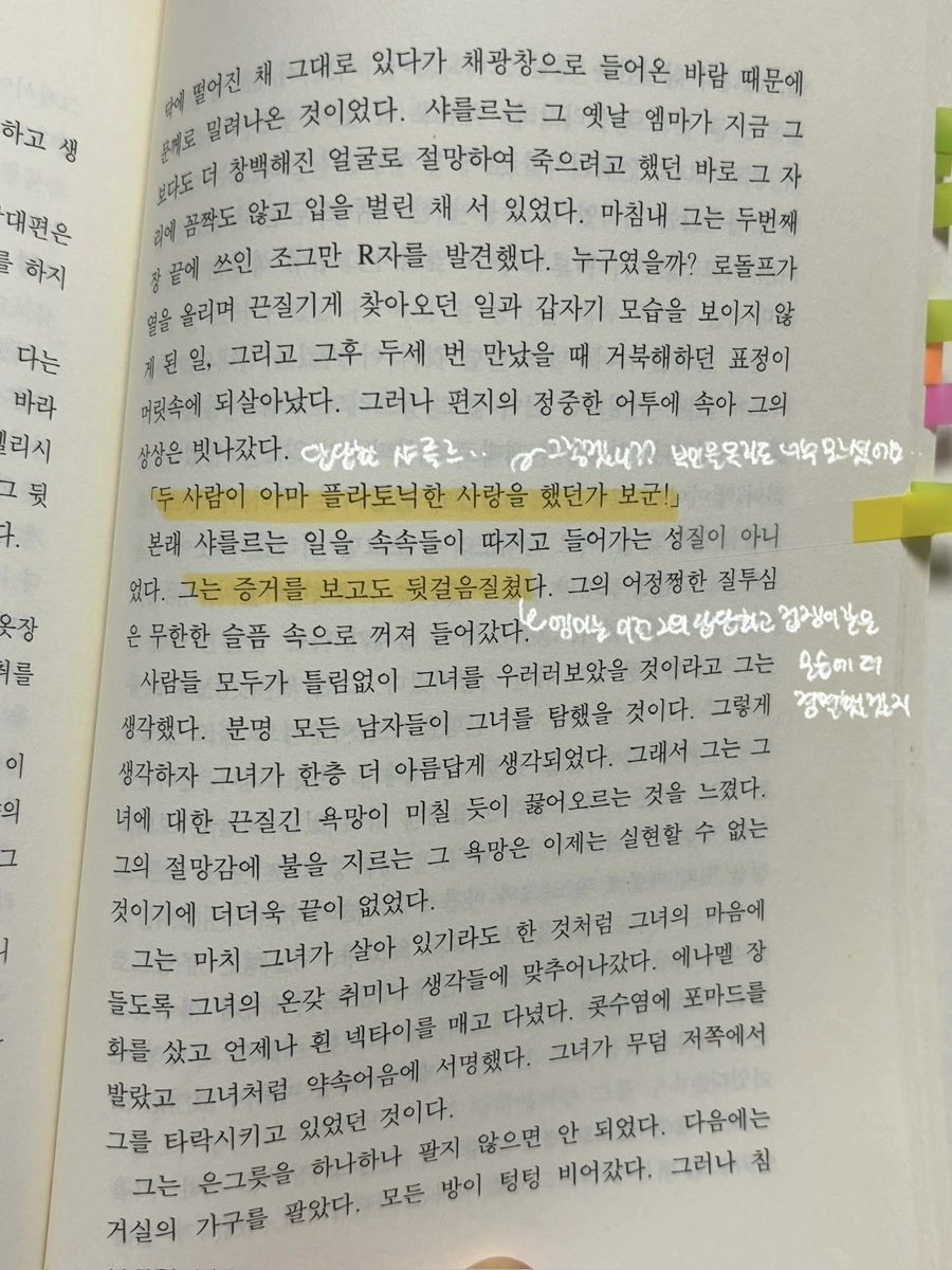 IMG%EF%BC%BF5080.jpg?type=w1