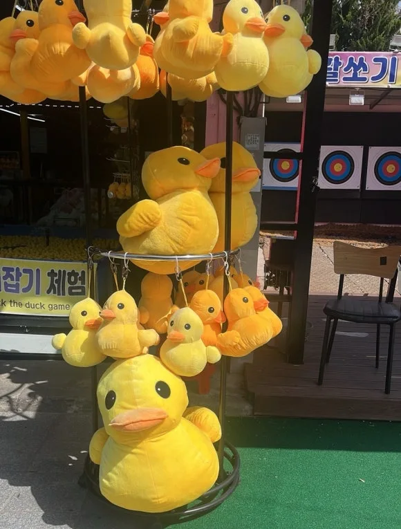 output_2866022623.jpg?type=w580