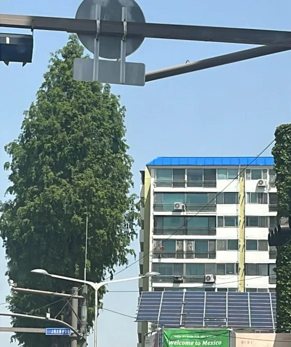 output_632886696.jpg?type=w580