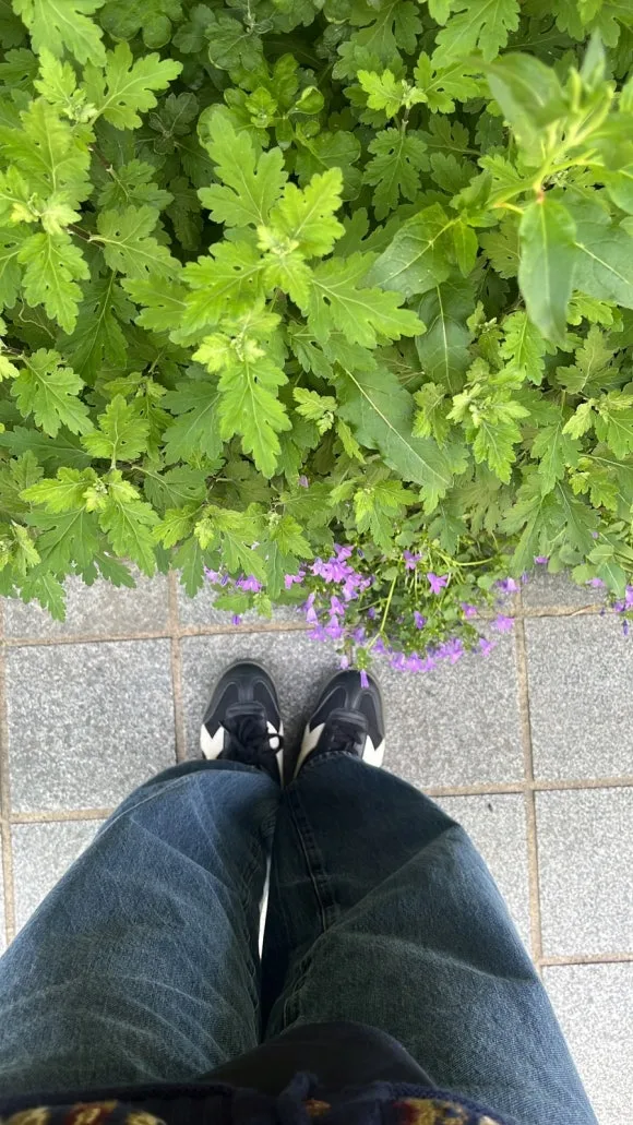 B8F888DB-B5CF-4024-9B1E-E06880F6B2B0.jpg?type=w580