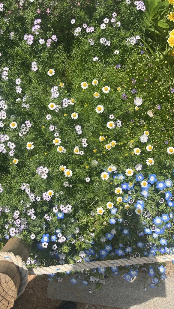 0F7EF055-1937-40C7-9490-801C1A97614B.jpg?type=w580