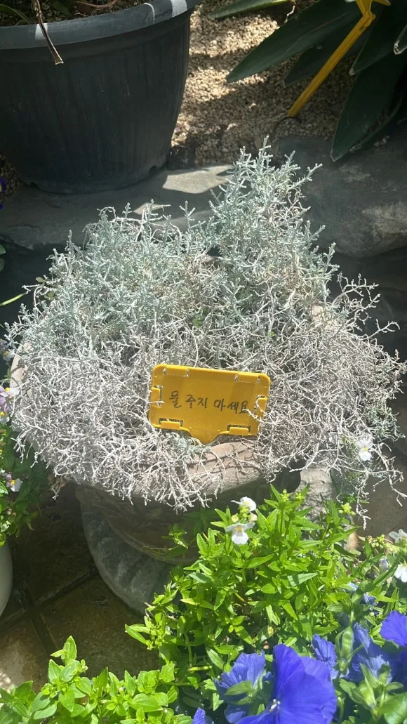 79D1F6D4-94C9-418A-BE5C-26262AA3FB78.jpg?type=w580