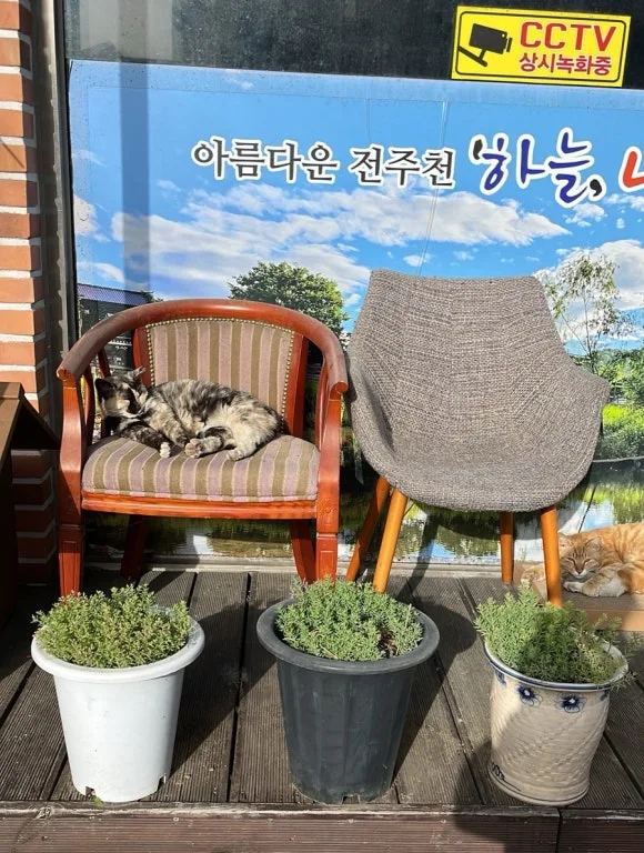 output_2317974506.jpg?type=w580