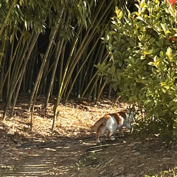 IMG_5529.jpg?type=w580