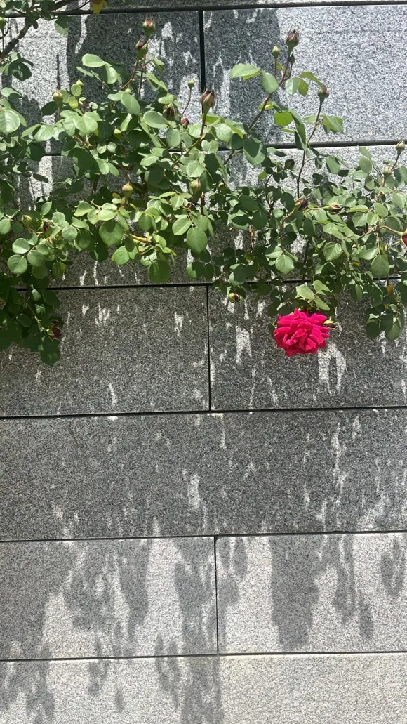 0F98FDEF-CC03-40F1-B702-11B5F366EF29.jpg?type=w580