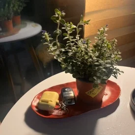 IMG_5539.jpg?type=w275