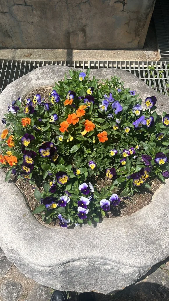 EBFE8A32-873A-4880-87E4-D971D207C220.jpg?type=w580