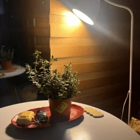 IMG_5537.jpg?type=w275