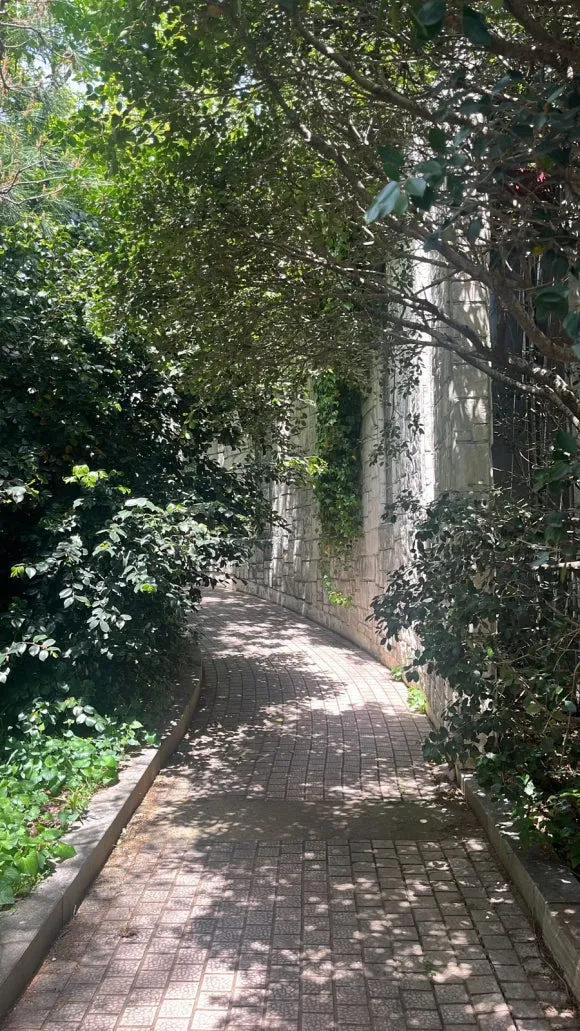 0D4FEC19-CC76-43F6-9901-F444D440BC3F.jpg?type=w580