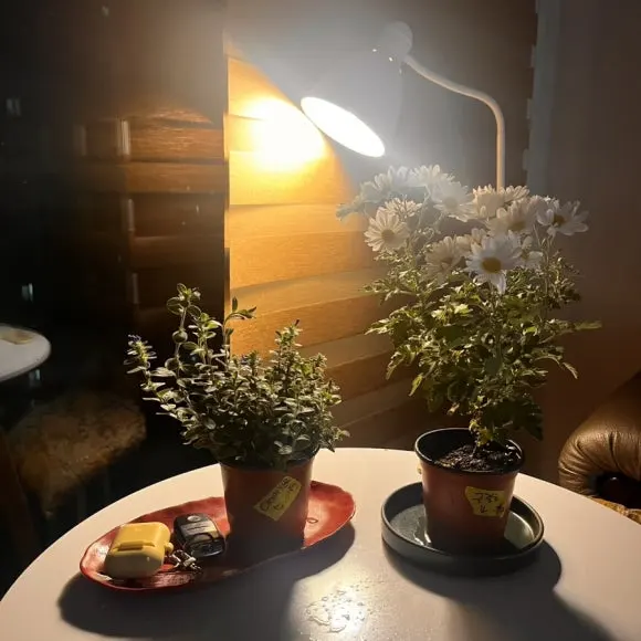 IMG_5540.jpg?type=w580