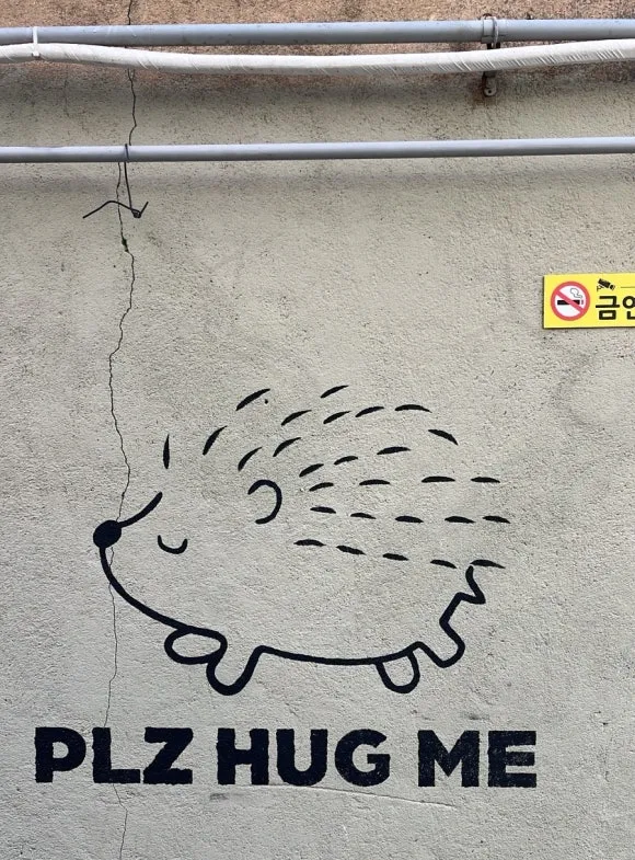 output_2368250725.jpg?type=w580