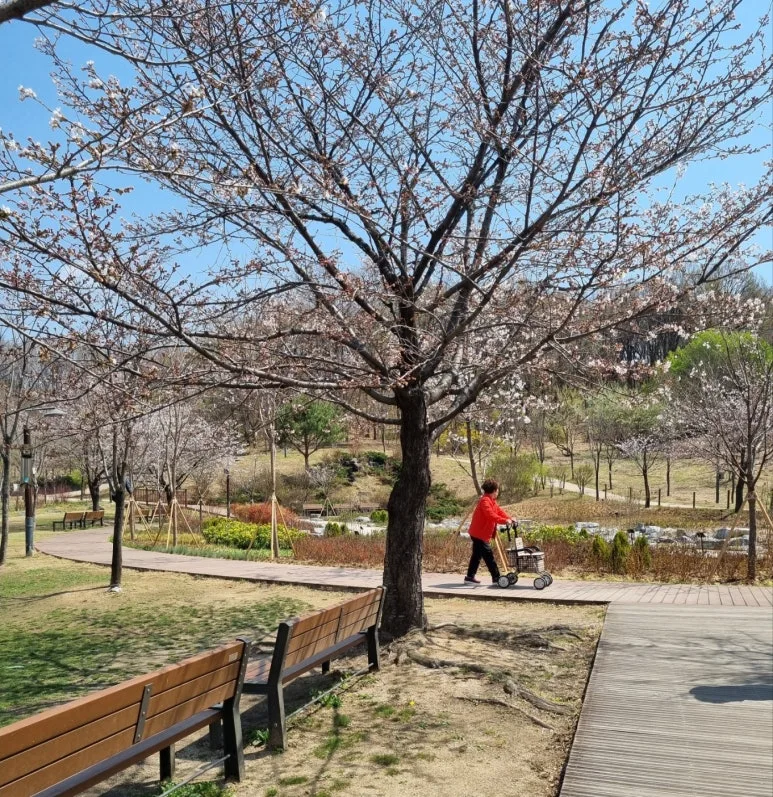 KakaoTalk_20250408_143117985_02.jpg?type=w773