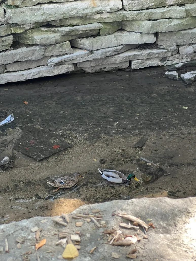 IMG_0769.jpg?type=w773