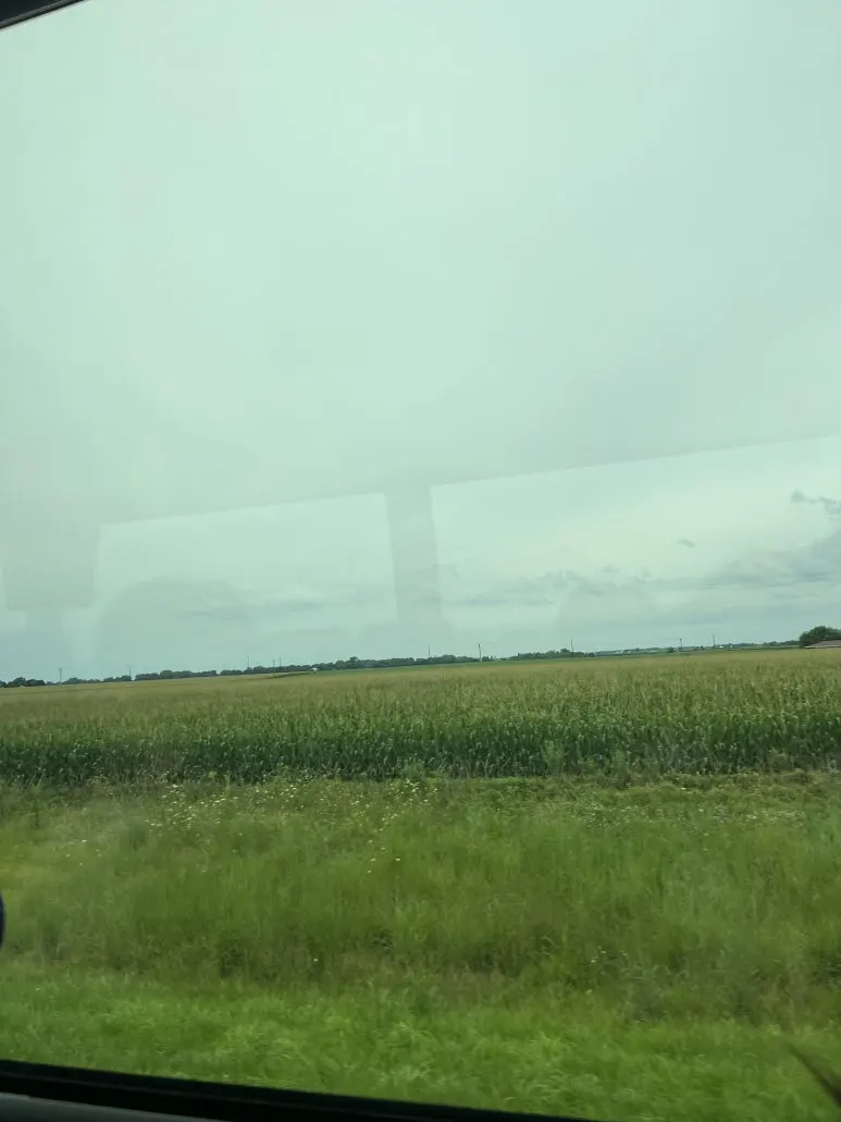 IMG_8473.jpeg?type=w773