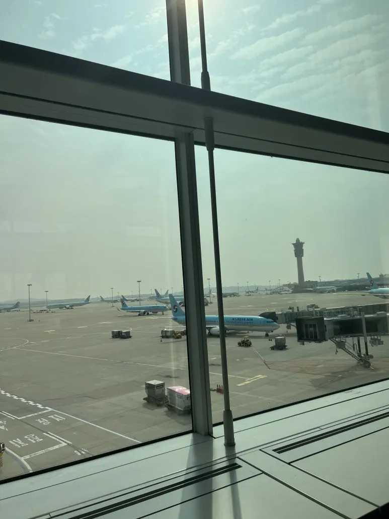 IMG_8447.jpeg?type=w773