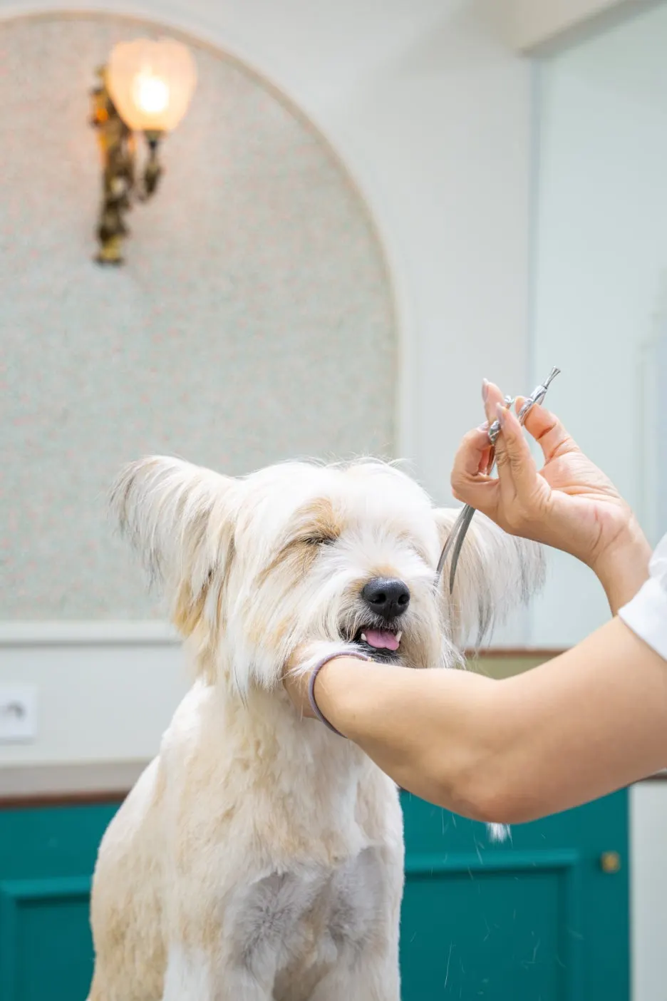 %ED%81%AC%EA%B8%B0%EB%B3%80%ED%99%987-1.jpg?type=w1