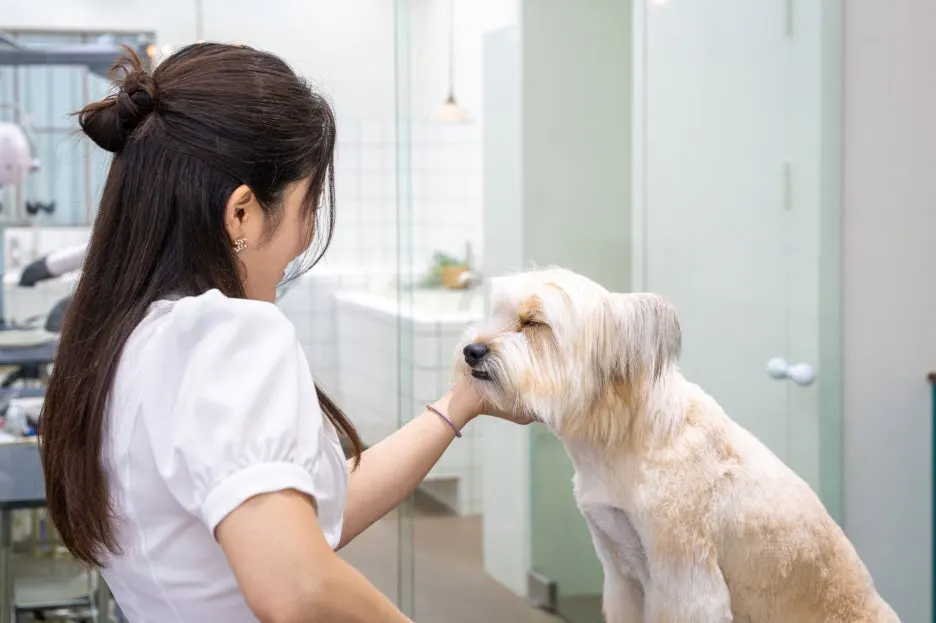 %ED%81%AC%EA%B8%B0%EB%B3%80%ED%99%986.jpg?type=w1