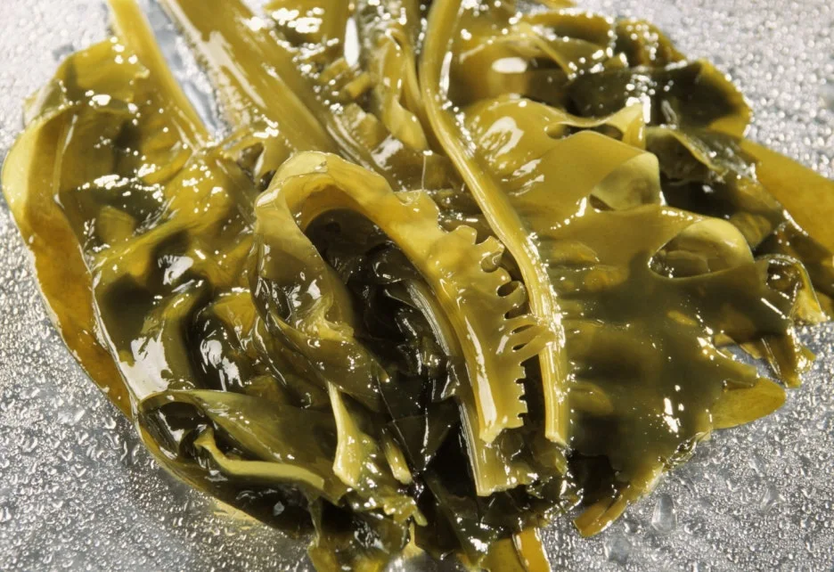 %ED%81%AC%EA%B8%B0%EB%B3%80%ED%99%98CK_pc003371310.jpg?type=w1