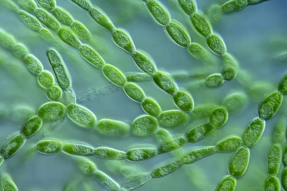 %ED%81%AC%EA%B8%B0%EB%B3%80%ED%99%98CK_pc0040628939.jpg?type=w1