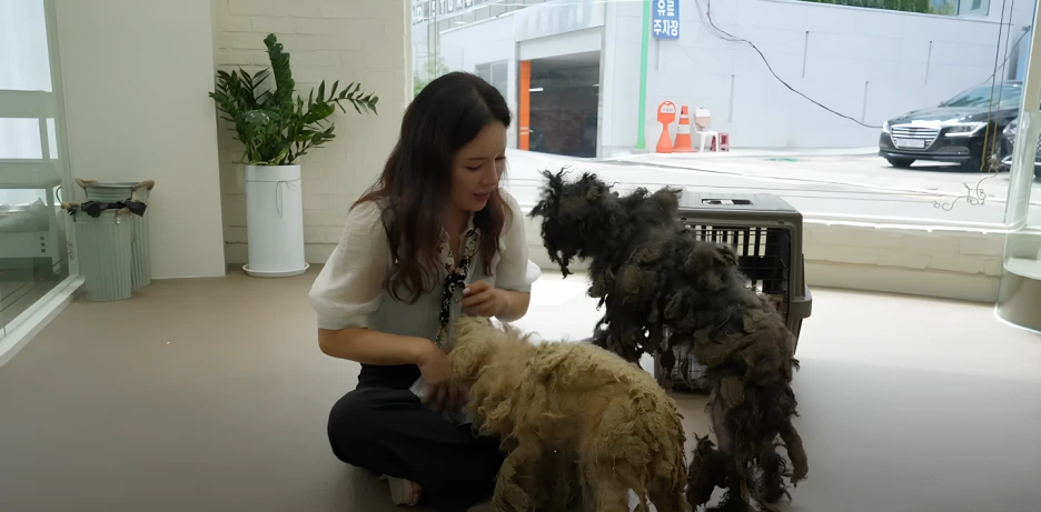 %ED%81%AC%EA%B8%B0%EB%B3%80%ED%99%985.png?type=w1