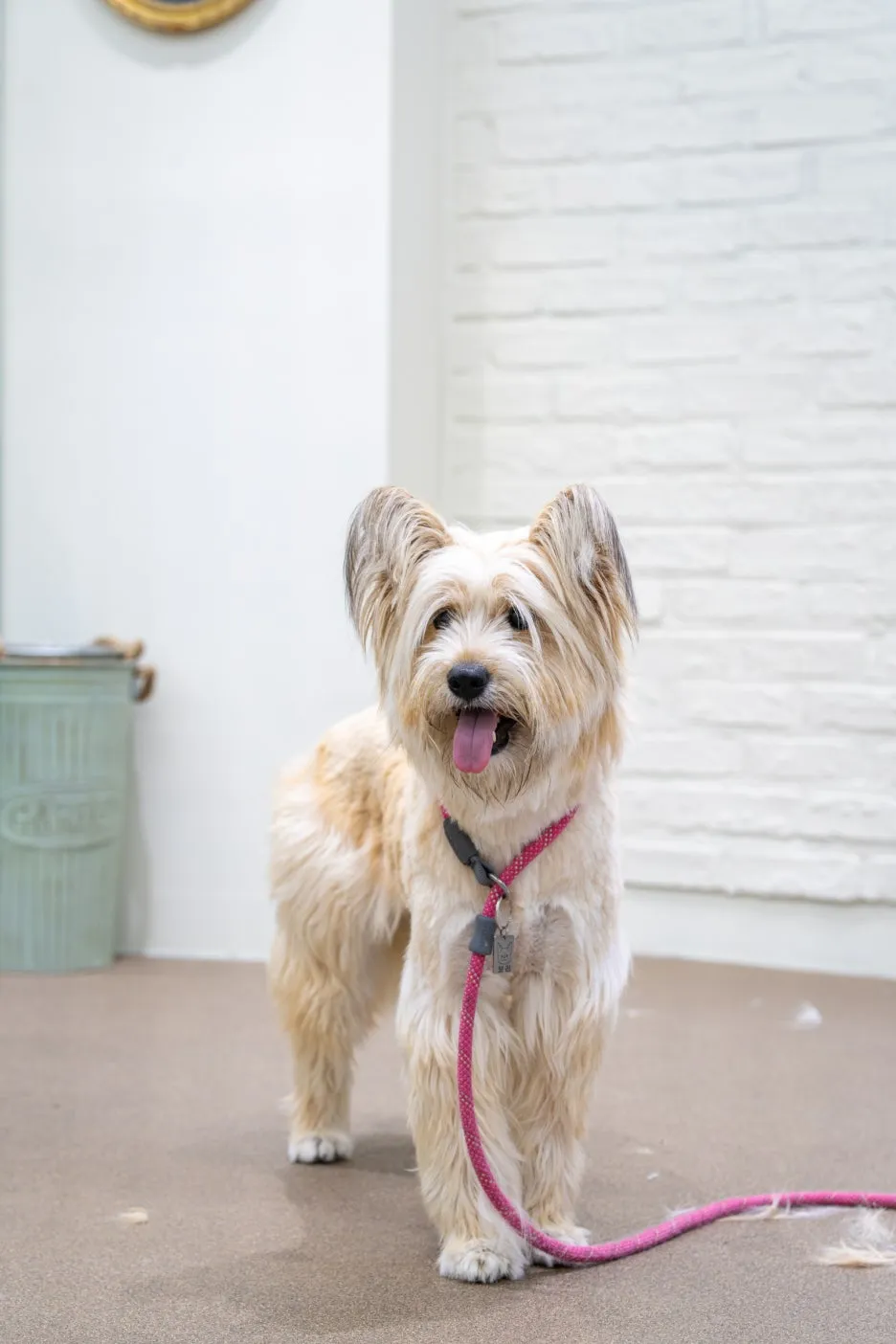 %ED%81%AC%EA%B8%B0%EB%B3%80%ED%99%983-1.jpg?type=w1