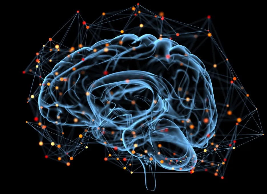 %ED%81%AC%EA%B8%B0%EB%B3%80%ED%99%98CK_cb0310001824.jpg?type=w1