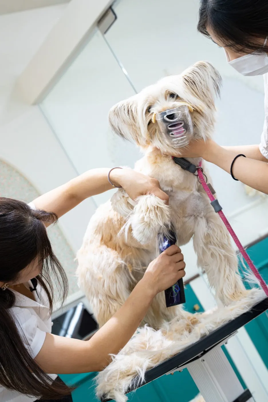 %ED%81%AC%EA%B8%B0%EB%B3%80%ED%99%984-0.jpg?type=w1