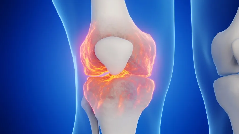 %ED%81%AC%EA%B8%B0%EB%B3%80%ED%99%98CK_pc0040637438.jpg?type=w1