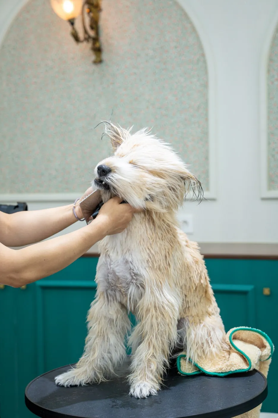 %ED%81%AC%EA%B8%B0%EB%B3%80%ED%99%984-3.jpg?type=w1